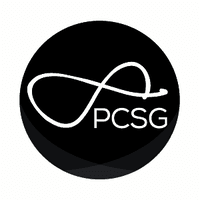 PROFESSIONAL CONSTRUCTION STRATEGIES GROUP LTD