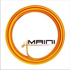 MAINI PRECISION PRODUCTS LTD