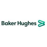 BAKER HUGHES (SURFACE PRESSURE CONTROL BUSINESS)