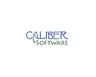 CALIBER SOFTWARE INC