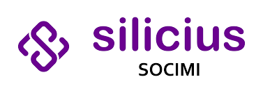 Socimi Silicius