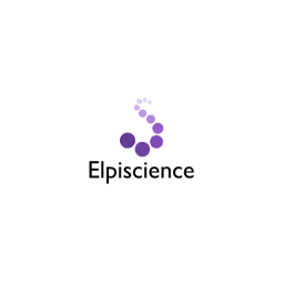 Elpiscience Biopharmaceutical
