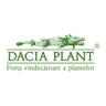 DACIA PLANT