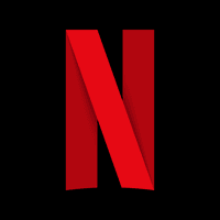 NETFLIX INC