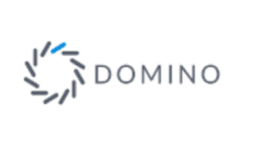 DOMINO DATA LAB