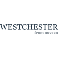 WESTCHESTER SOUTH INVESTMENTS