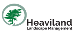 HEAVILAND ENTERPRISES INC