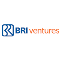 BRI VENTURES