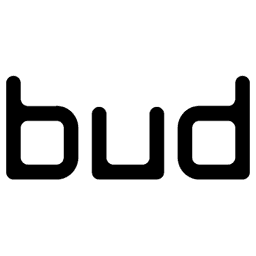 BUD FINANCIAL