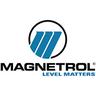 magnetrol international
