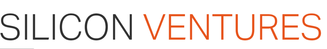 SILICON VENTURES