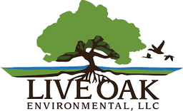 Live Oak Environmental