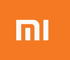 XIAOMI CHANGJIANG INDUSTRIAL INVESTMENT FUND