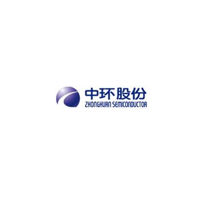 TIANJIN ZHONGHUAN SEMICONDUCTOR CO LTD