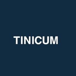 TINICUM INC