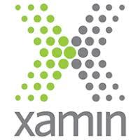 XAMIN INC