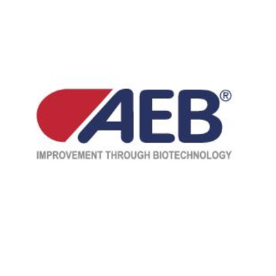 AEB GROUP