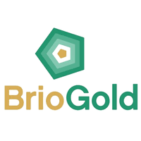 BRIO GOLD INC