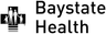 BAYSTATE HEALTH INC