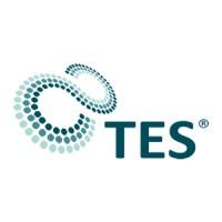 TES GROUP