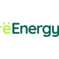 EENERGY GROUP PLC (ENERGY MANAGEMENT DIVISION)