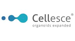 CELLESCE LTD