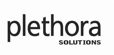 PLETHORA SOLUTIONS HOLDINGS PLC