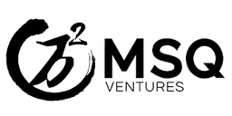 Msq Ventures