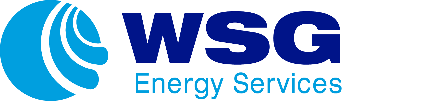Wsg Energy Services
