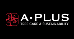 A Plus Tree