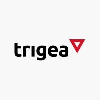 TRIGEA REAL ESTATE