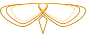 Firefly Resources