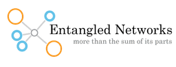 ENTANGLED NETWORKS