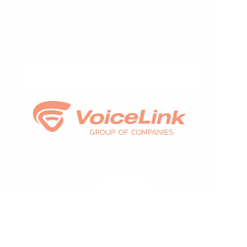 VOICELINK LLC