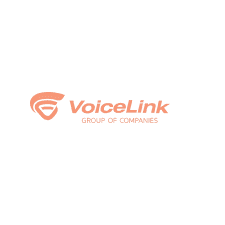 VOICELINK LLC