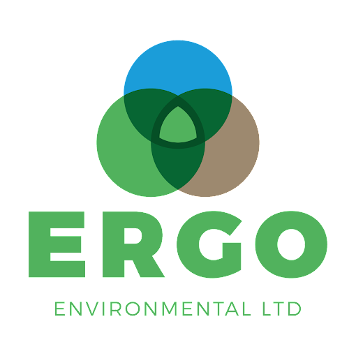 Ergo Environmental