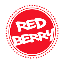 REDBERRY GROUP