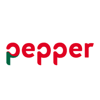 PEPPER EUROPEAN SERVICING