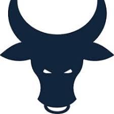 TORO RISK CONSULTING GROUP LLC