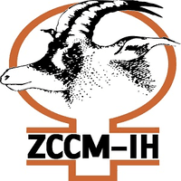 ZCCM INVESTMENTS