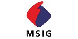 MITSUI SUMITOMO INSURANCE GROUP HOLDINGS INC