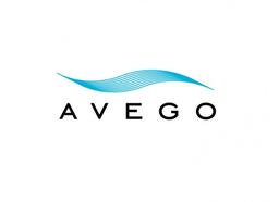 AVEGO MANAGEMENT