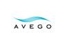 AVEGO MANAGEMENT