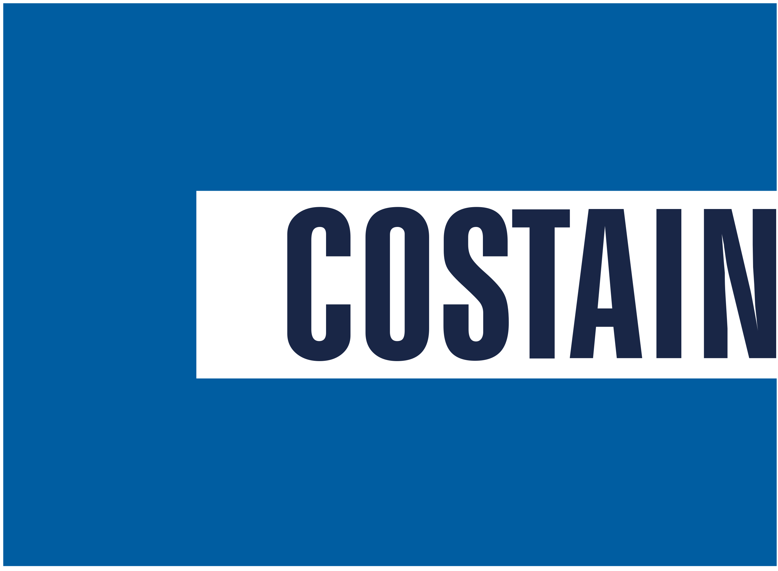 COSTAIN PENSION SCHEME TRUSTEE