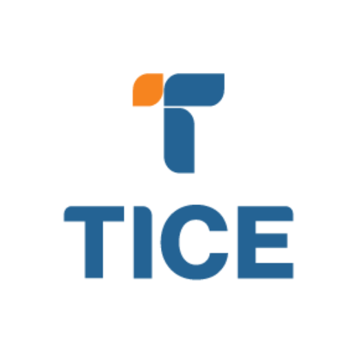 TICE CHICKEN HOLDINGS