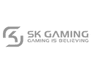 Sk Gaming