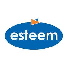 ESTEEM SYSTEMS