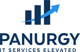 PANURGY NY METRO LLC