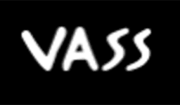 VASS GROUP