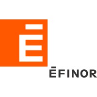 Efinor (energy And Defense Subsidiaries)
